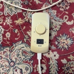足若丸　座った姿勢で足を鍛えるの画像