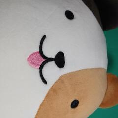 ネコぬいぐるみの画像