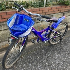 BRIDGESTONE　24インチ　子供用マウンテンバイク自転車...
