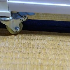 爬虫類倶楽部　オリジナルケージの画像