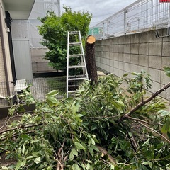 便利屋です！ 【雪かき、融雪剤散布承ります❗】 - 板橋区