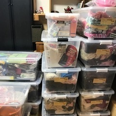 中古💜子供服から大人服まで 大量 まとめ買い大歓迎(^-^)1枚￥300～ 安くします。の画像
