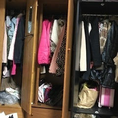 中古💜子供服から大人服まで 大量 まとめ買い大歓迎(^-^)1枚￥300～ 安くします。の画像