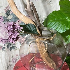 ♡素敵なインテリアにガラスの器＊花器＊メダカや金魚飼育にもの画像