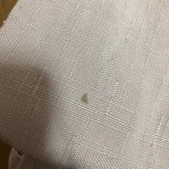 無料　レディース服　つなぎ　オーバーオールの画像