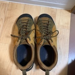 【29.0cm】KEEN ジャスパーロックスの画像