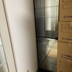 【お取引完了】【急募】無料　コレクションケース　コレクションラック