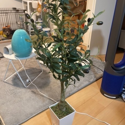 フェイクグリーン　観葉植物　空気浄化　室内【受渡し予定者決定】