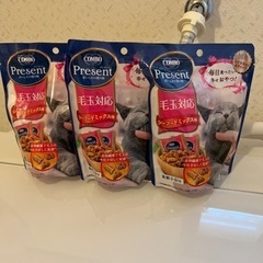 決まりました。