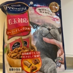決まりました。の画像