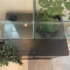 SALE綺麗★6045水槽台　60×45×70 黒木目の画像