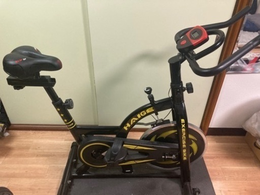 【取引確定】HAIGE(ハイガー) スピンバイク　アルインコ