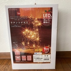 ラタントナカイ