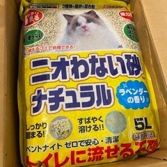 猫砂 大量入荷