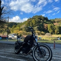ヤマハ ビラーゴ250 車体 絶好調