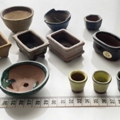 盆栽鉢★小サイズ中心50個以上★豆鉢ありますの画像