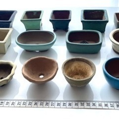 盆栽鉢★小サイズ中心50個以上★豆鉢あります