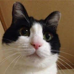 優しいパンダくん２歳くらい？