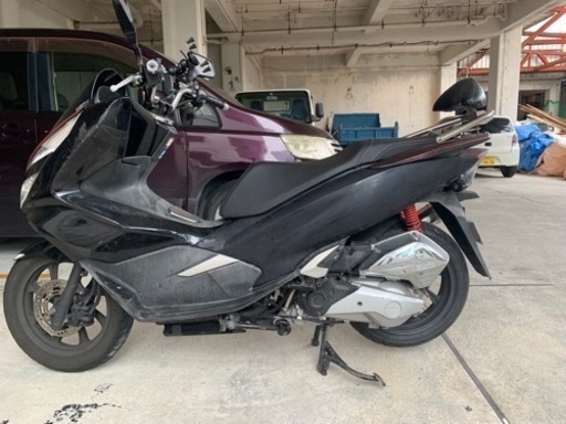 バイク pcxjf81