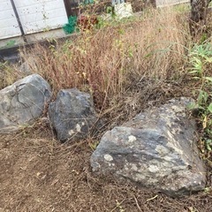庭石あげます