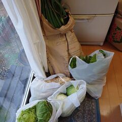 野菜セット！！2セット限定