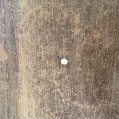 ★交渉中★ニトリ机こたつの画像