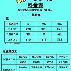 コオロギ、デュビア、冷凍マウス 料金表