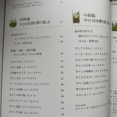 部屋で楽しむ きのこリウムの世界の画像