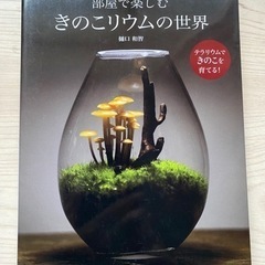 部屋で楽しむ きのこリウムの世界