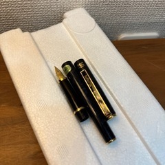 [極美品] ⬇️大幅値下！！Burberrys 万年筆　本物未使用の画像