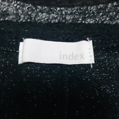 インデックス　トップスの画像