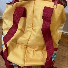 YEBISU 保冷リュックの画像