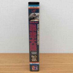 脱走大陸 字幕スーパー デビット・キース VHS ビデオ レトロ レア 札幌 西区 西野の画像