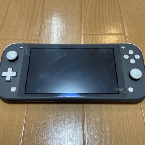 その他 Switch lite