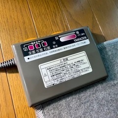 受け渡し者決定【引取り限定】12/18まで　ラグ＆ホットカーペットセットの画像