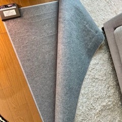 受け渡し者決定【引取り限定】12/18まで　ラグ＆ホットカーペットセットの画像