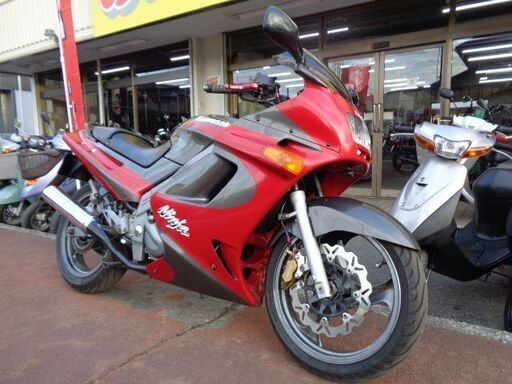 NO.4570　ＺＺＲ２５０　水冷４サイクル２気筒２５０ｃｃ　ドライブレコーダー＆ＵＳＢ電源付き　ニッシンキャリパー　レッド＆グレー　☆彡