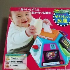 やりたい放題ビッグ版の画像