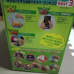 やりたい放題ビッグ版の画像