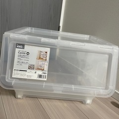 キャリコ　Mサイズ　/お引取先が決まりました