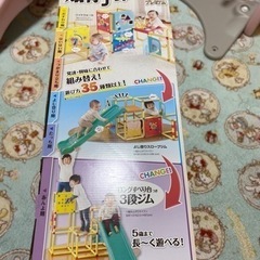 ジャングルジム　トイザらス限定　