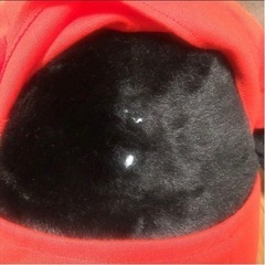 ディズニー ぬいぐるみ ヴィンテージ 日本製 レトロ 昭和 東京サンアンドスターの画像