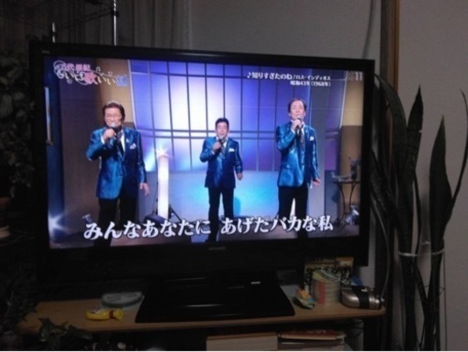 テレビ　50インチくらい