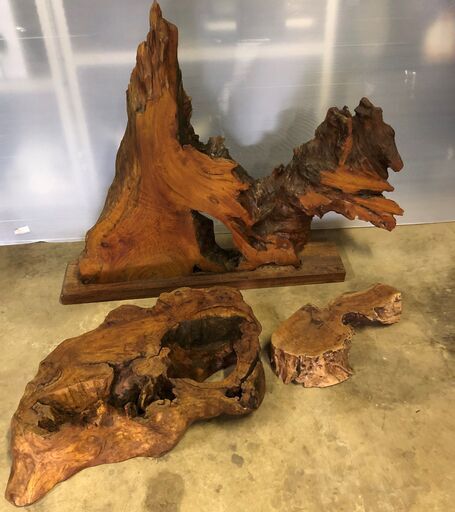 金泉黄ララ　流木3点セット　希少！