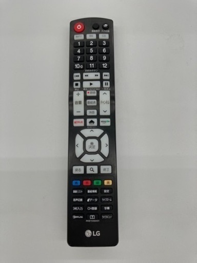 LG  液晶テレビ  19年製  55V型 TJ408