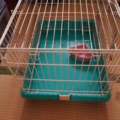 小動物のゲージの画像