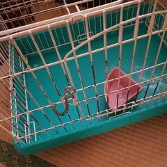 小動物のゲージの画像