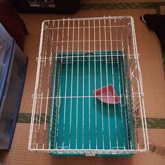 小動物のゲージ