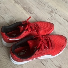 PUMA プーマ 25.5cm トレーニング ランニング用スニーカーの画像