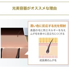 脱毛教室始めます！の画像